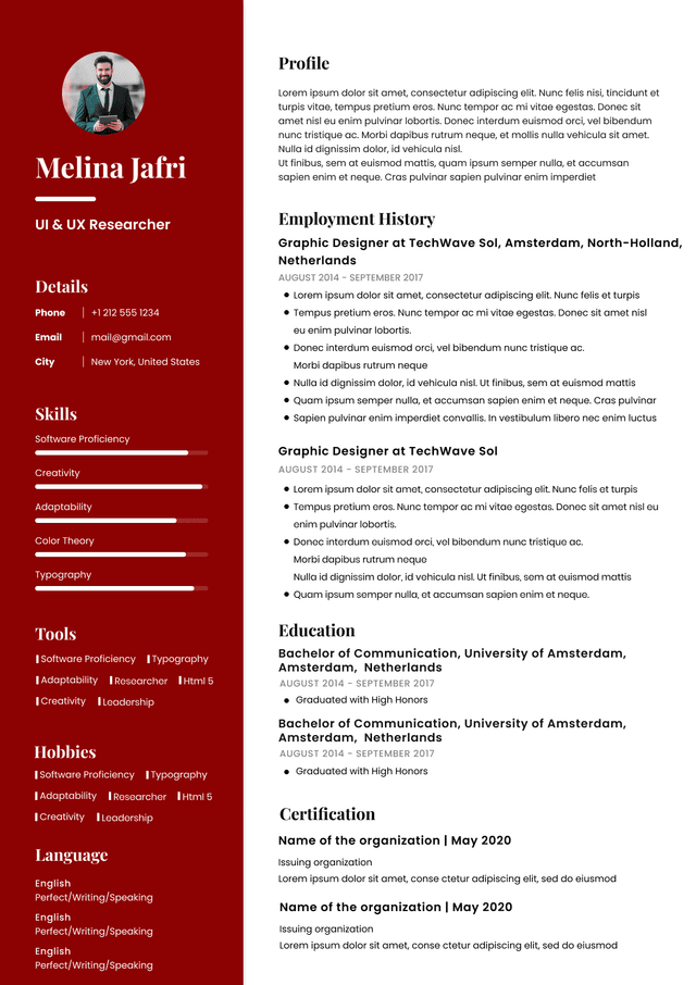 CV template preview
