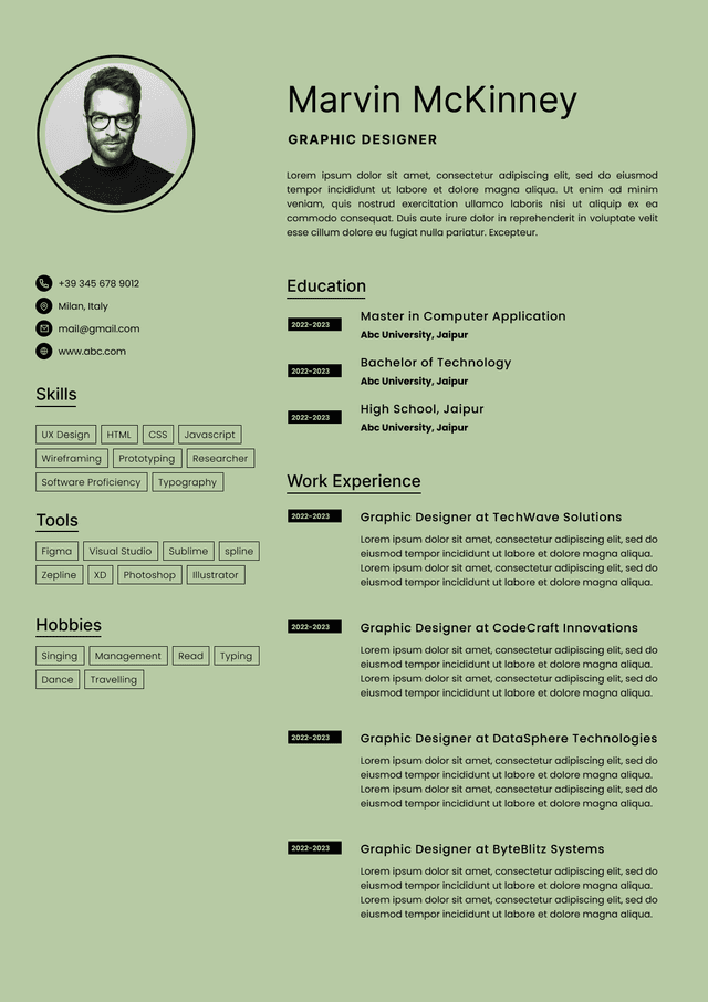 CV template preview