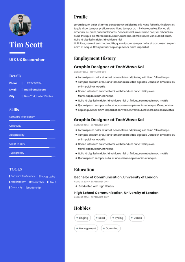 CV template preview