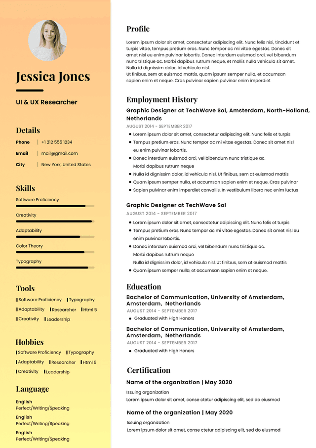 CV template preview