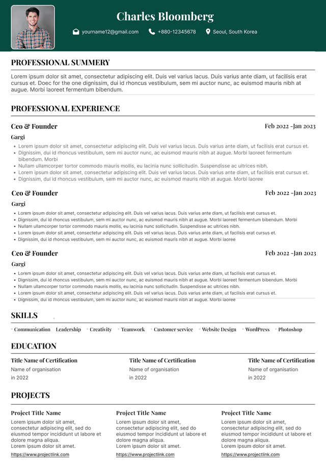 CV template preview