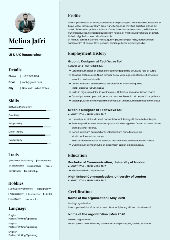 CV template preview