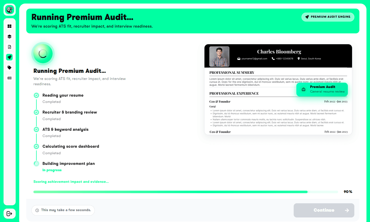 Premium Resume Audit product preview